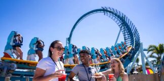 Los Imperdibles de 2025 en SeaWorld Orlando y Busch Gardens Tampa Bay: Diversión para Toda la Familia