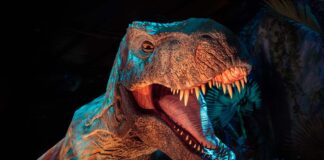 Jurassic World: The experience, llega a Colombia por primera vez