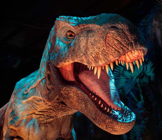 Adiós a la magia jurásica: Jurassic World The Experience dice adiós a Bogotá