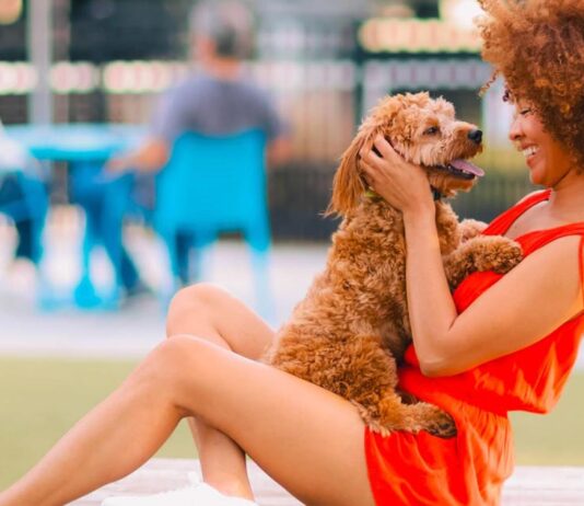 Tampa Bay apuesta por el turismo pet friendly y lanza vacaciones con patas para toda la familia