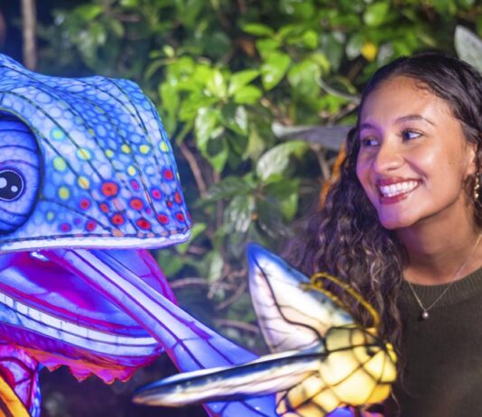 Aquatica Orlando se enciende con ILLUMINATE: un festival donde la noche cobra vida
