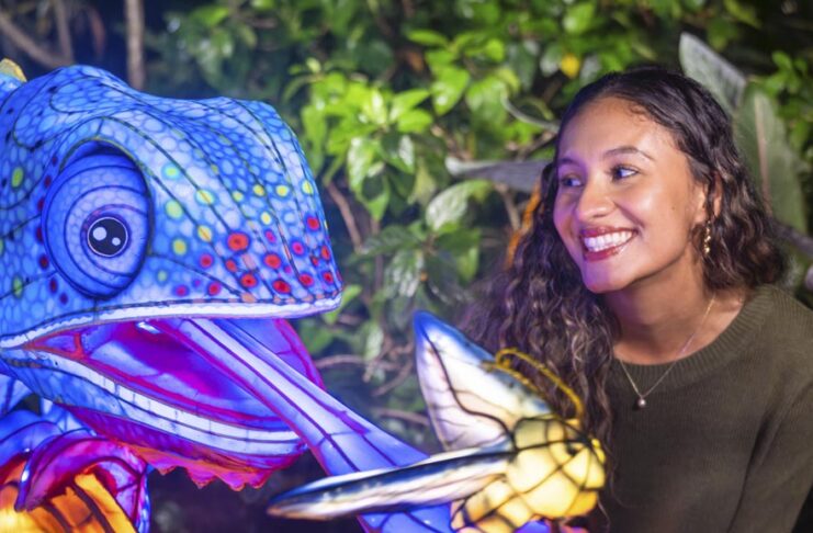Aquatica Orlando se enciende con ILLUMINATE: un festival donde la noche cobra vida