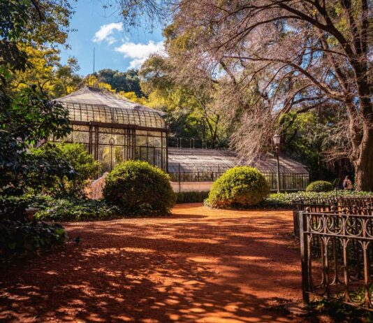 Descubra Buenos Aires en primavera: cultura, sabor y sofisticación en la ciudad que lo tiene todo