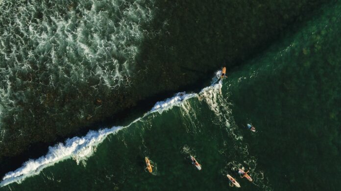 Copia de Surf-6