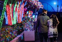 SeaWorld Orlando: donde la Navidad brilla bajo el sol de Florida