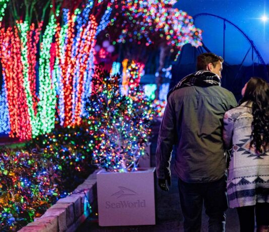 SeaWorld Orlando: donde la Navidad brilla bajo el sol de Florida