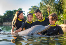 Black Friday United Parks: la temporada perfecta para que los viajes vuelvan a sentirse inolvidables