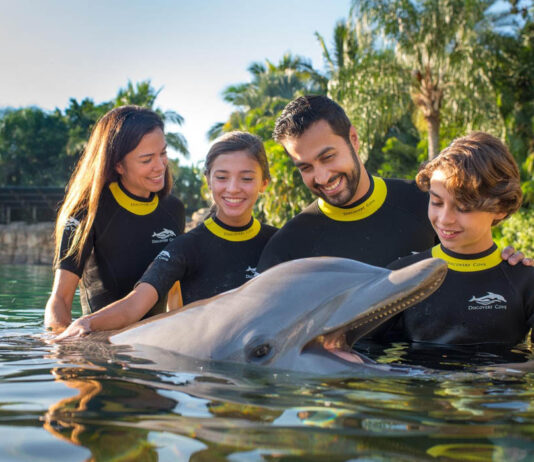 Black Friday United Parks: la temporada perfecta para que los viajes vuelvan a sentirse inolvidables
