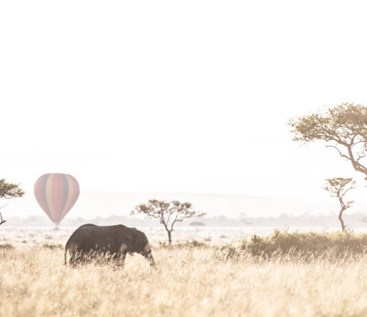 Cuatro razones que hacen del Mara Triangle el corazón secreto del Masai Mara