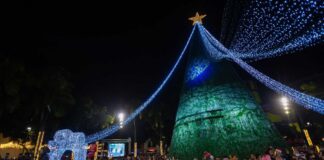 Pereira se viste de luz y bienvenida: una Navidad Mágica que quiere conquistar al país