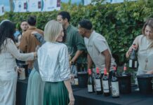 Entre viñedos y estrellas Michelin: el Valle de Uco se prepara para una noche donde el vino y la alta cocina cuentan su propia historia