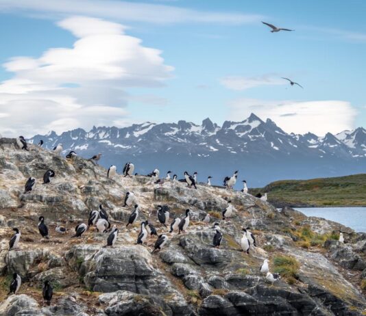 KAYAK revela que el asombro por la naturaleza redefine la forma de viajar en 2026