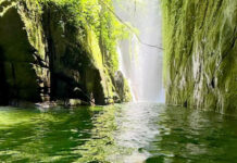 Klosay en Panamá donde el viaje deja huella y la selva responde con vida