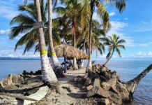 Corporación Turística Urabá Darién Caribe impulsa el crecimiento del turismo en una región que conquista con su esencia natural