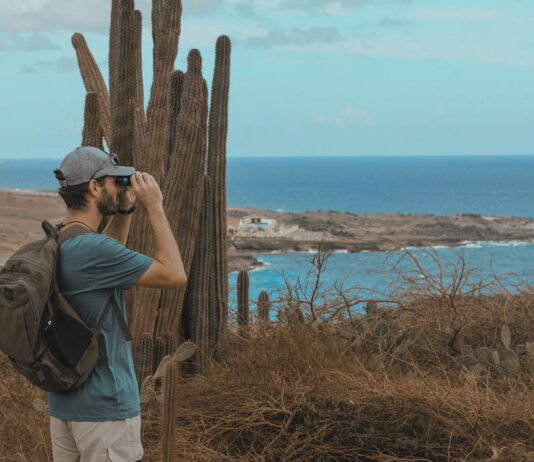 “Cuando Amas Aruba – Aruba Te Ama” la isla feliz invita a los colombianos a redescubrir la forma de viajar