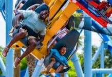 Busch Gardens Tampa Bay convierte el verano en una aventura inolvidable entre drones montañas rusas y vida salvaje
