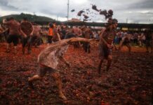 La Gran Tomatina Colombiana convierte a Sutamarchán en el estadio rojo de la fiesta mundial