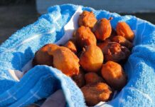 Argentina celebra los 163 años de Saladillo con una gran fiesta que estrena el Festival del Buñuelo Artesanal y reafirma su encanto como destino turístico